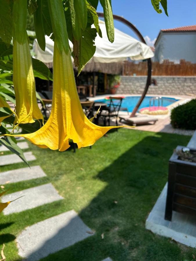 Pupa Alaçatı Butik Otel Çeşme Extérieur photo