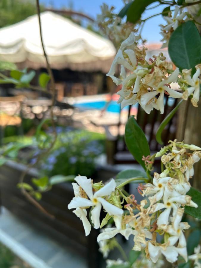 Pupa Alaçatı Butik Otel Çeşme Extérieur photo