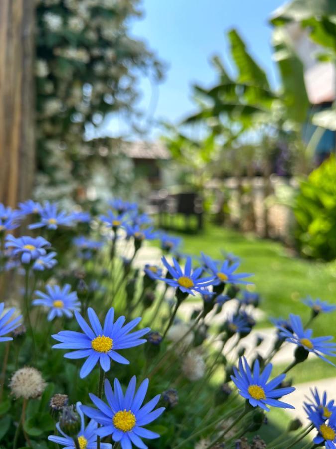 Pupa Alaçatı Butik Otel Çeşme Extérieur photo